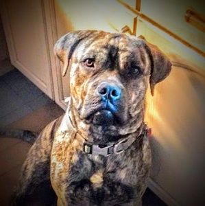 Meet your Posher, Mark